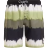 Protest Badeshorts CITY JR In Artichoke Green 25