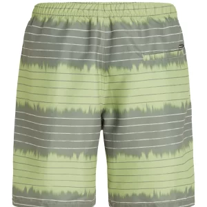 Protest Beachshorts “ PRTAUCKLEY In AlgaeGreen 17