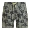 Protest Beachshorts “ PRTFAAS JR In Artichoke Green 8