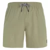 Protest Beachshorts “ PRTYESSINE In Artichoke Green 25