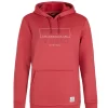Protest Hoodie “ PRTTWIG In Rusticrust 25