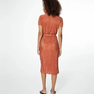 Protest Minikleid “ PRTBRESSER In Squirrelbrown 21