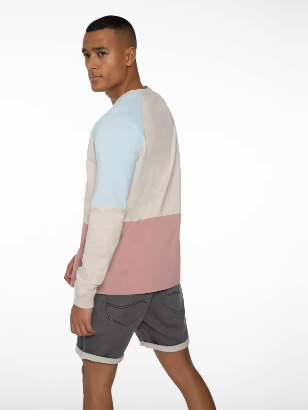 Protest Sweatshirt “ RADFORD In Mauve 6